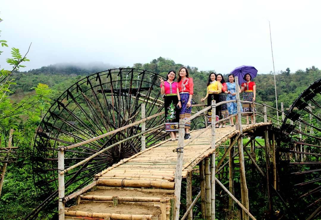 Eco-tourism from 40 branches of water in the field of flying storks - Photo 4.