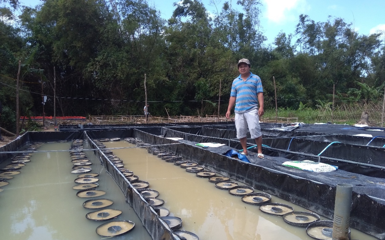 Kỹ sư điện bỏ đất Bình Dương về quê Phú Yên nuôi lươn đẻ theo kiểu lạ mắt, ngày càng nhiều người đến xem