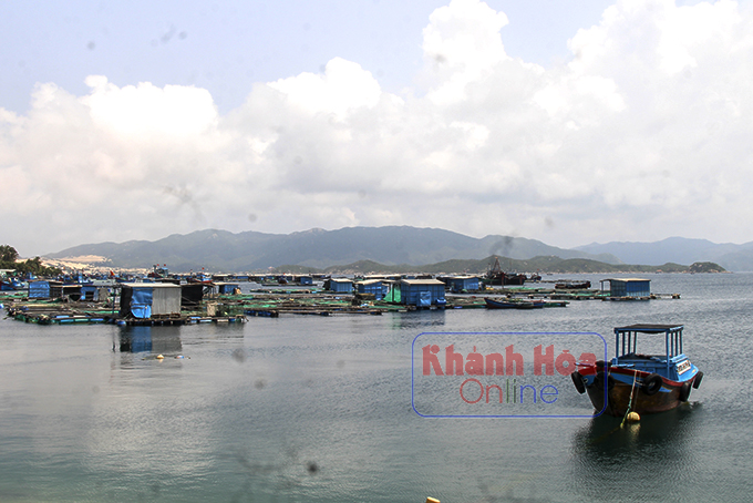 Khánh Hòa: Chen chúc nuôi thủy sản trên vịnh Vân Phong, đâu là cách chấm dứt tình trạng &quot;mạnh ai nấy chiếm&quot;? - Ảnh 1.