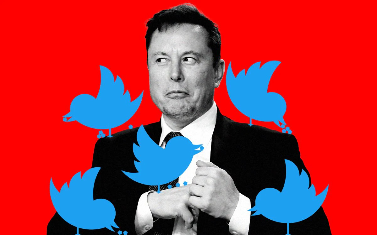 Is Elon Musk's Twitter deal a free speech victory or fuel for taxing the rich?  - Photo 2.