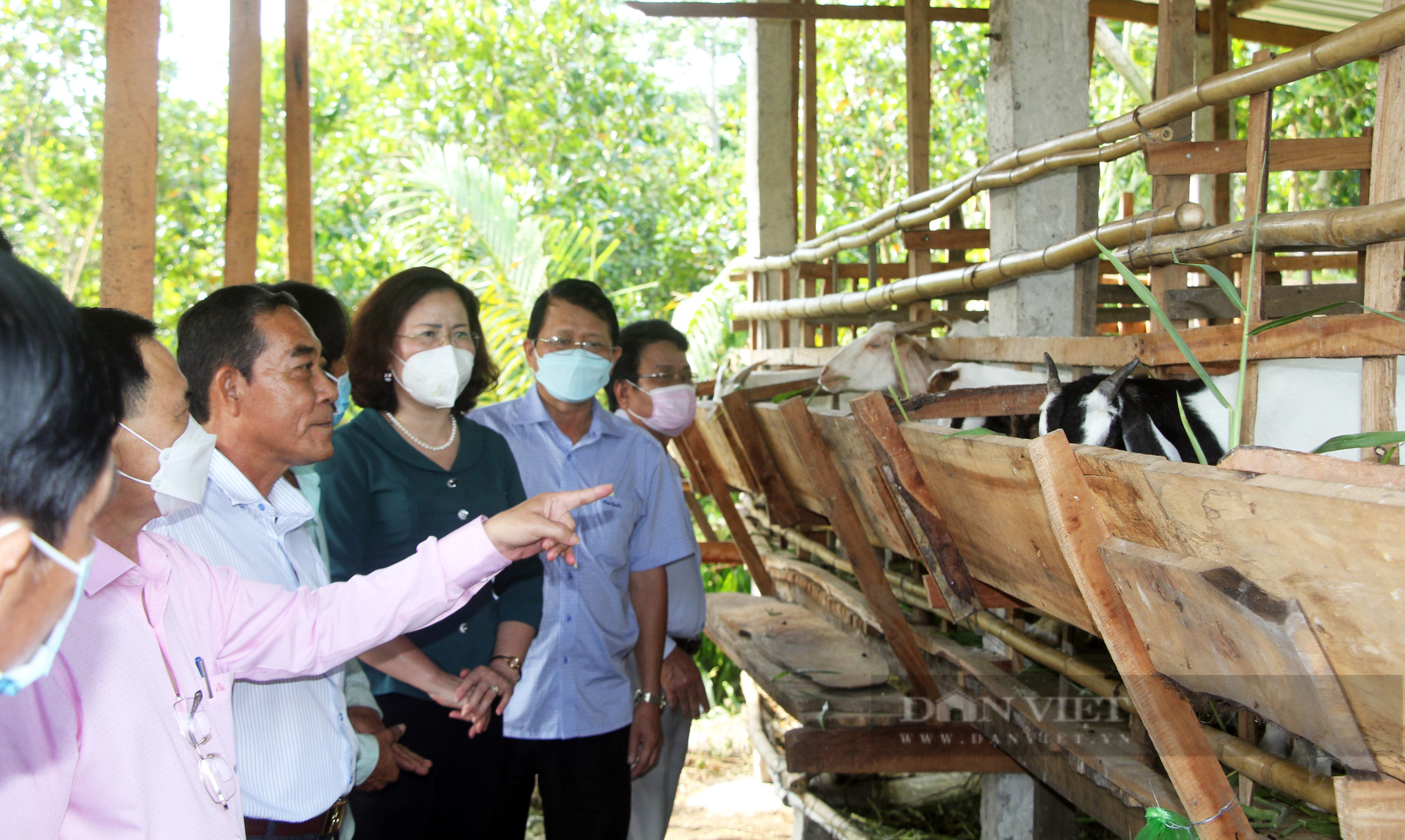 Phó Chủ tịch Hội NDVN Bùi Thị Thơm: Hội ND Cần Thơ giúp nông dân liên kết sản xuất, giảm chi phí đầu vào- Ảnh 4.