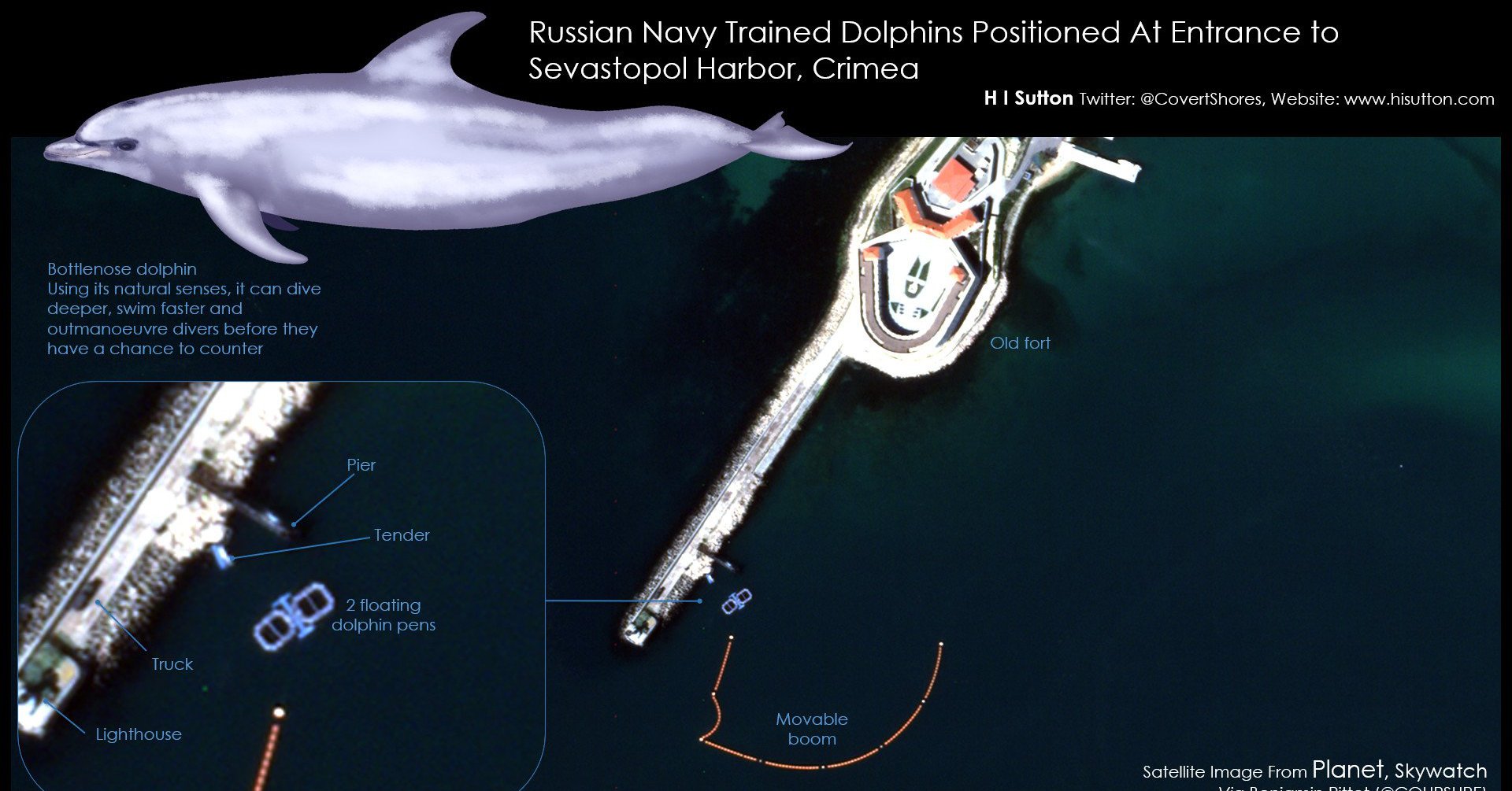 Russia-Ukraine conflict: Russia deploys dolphins to protect an important naval base in the Black Sea