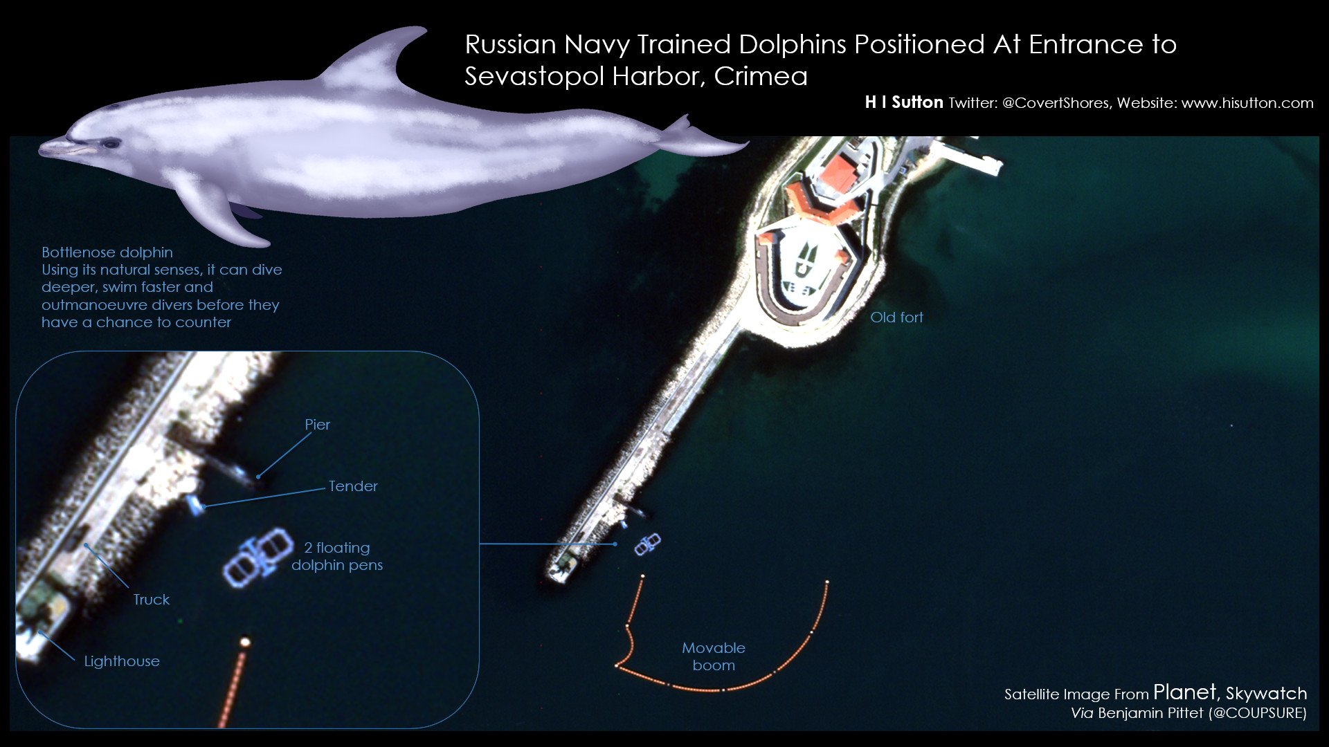 Russia-Ukraine conflict: Russia deploys dolphins to protect a naval base in the Black Sea - Photo 1.