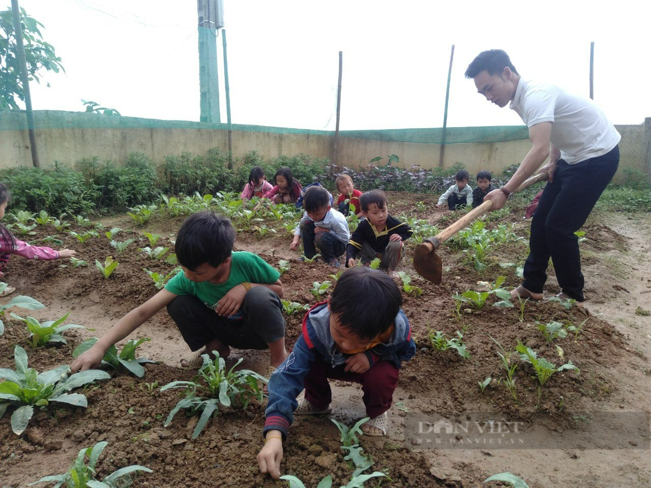 Niềm vui ở Trường Tiểu học Cốc Mỳ từ cây giống, vườn rau được tặng - Ảnh 12.