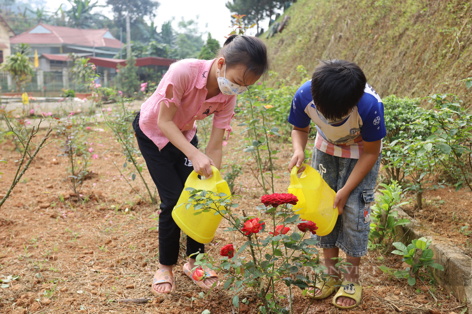 Niềm vui ở Trường Tiểu học Cốc Mỳ từ cây giống, vườn rau được tặng - Ảnh 10.
