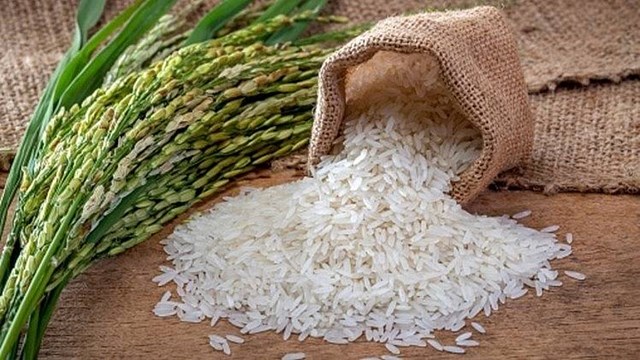 Gạo Việt Nam xuất khẩu sang các nước Bắc Âu có giá kỷ lục 740 USD/tấn - Ảnh 1.