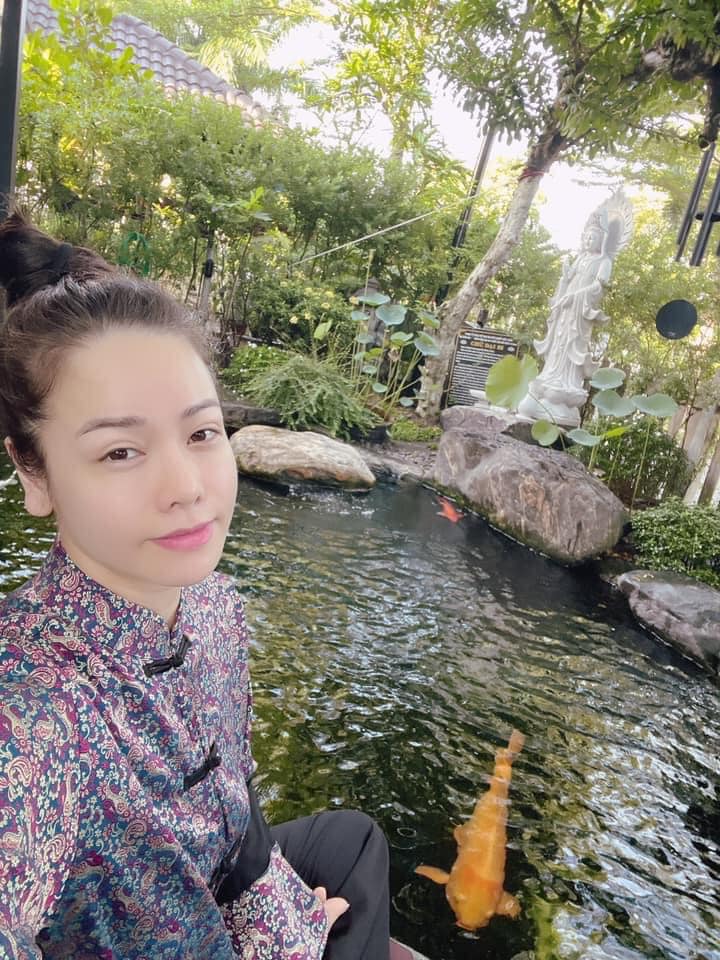 Nhat Kim Anh's beautiful house and a series of Vietnamese stars are 