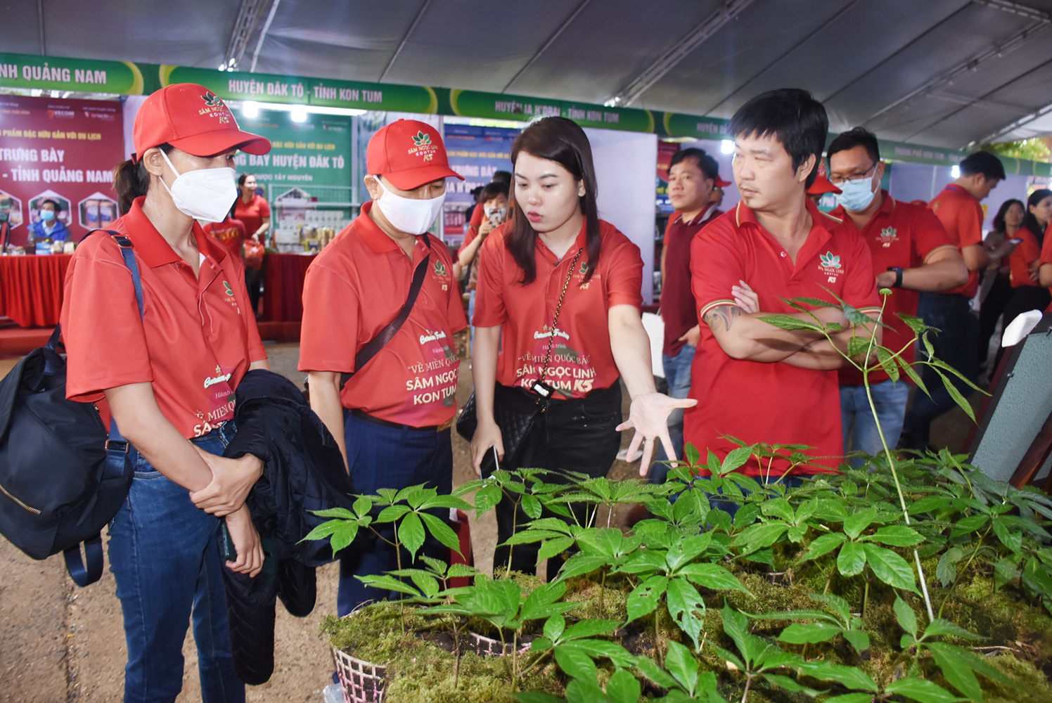 &quot;Kho báu&quot; quý giá dưới những tán rừng Tây Nguyên đang chờ được đánh thức - Ảnh 2.