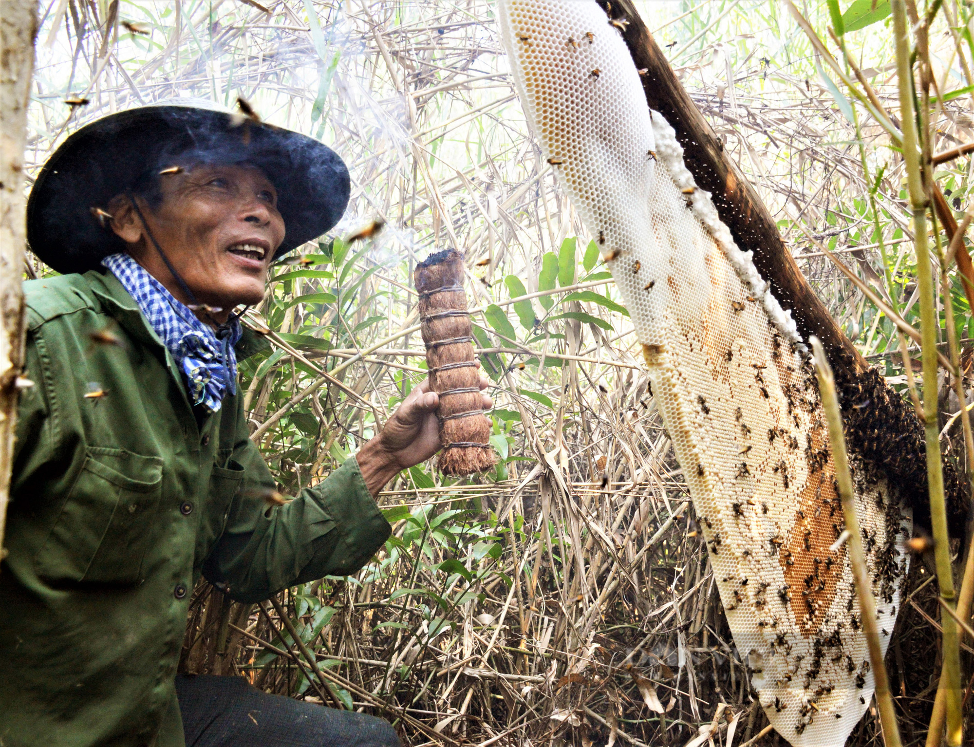 Cận cảnh tổ ong mật của nghề gác kèo ong xác lập kỷ lục Việt Nam - Ảnh 1.