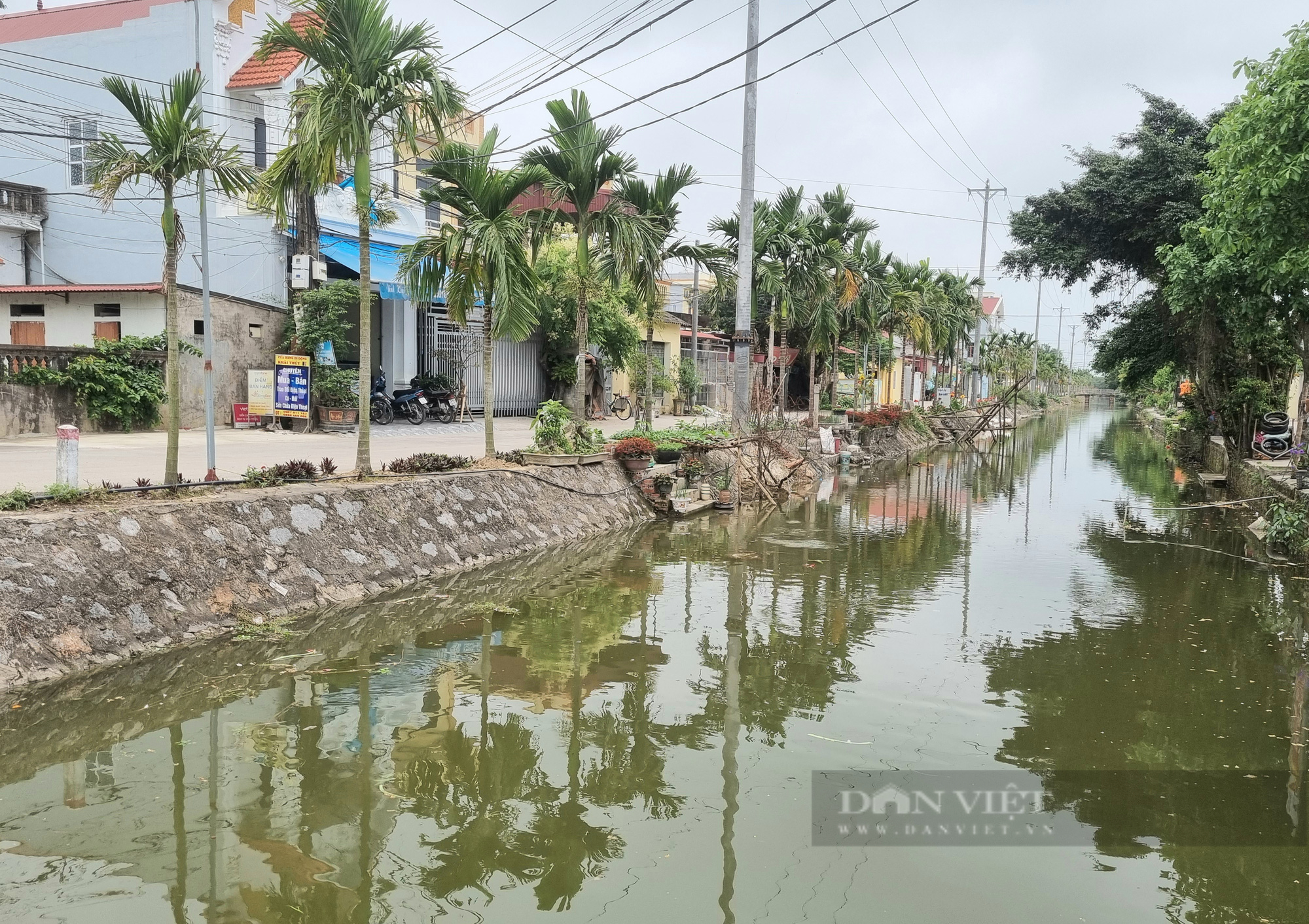 Ninh Bình: Làng quê đáng sống với những hàng cau đẹp như trong tranh  - Ảnh 4.