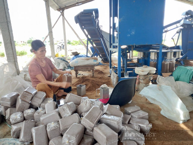 Đà Nẵng: Nông dân U70 có cuộc sống an nhàn nhờ mô hình trồng nấm bào ngư - Ảnh 5.