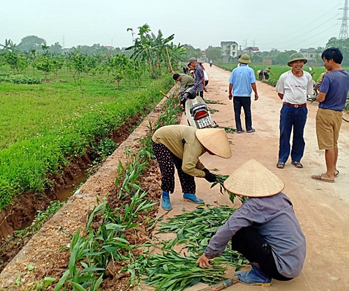 Hội Nông dân huyện Chương Mỹ (Hà Nội) tổ chức nhiều hoạt động kỷ niệm 47 năm ngày Giải phóng miền Nam - Ảnh 1.