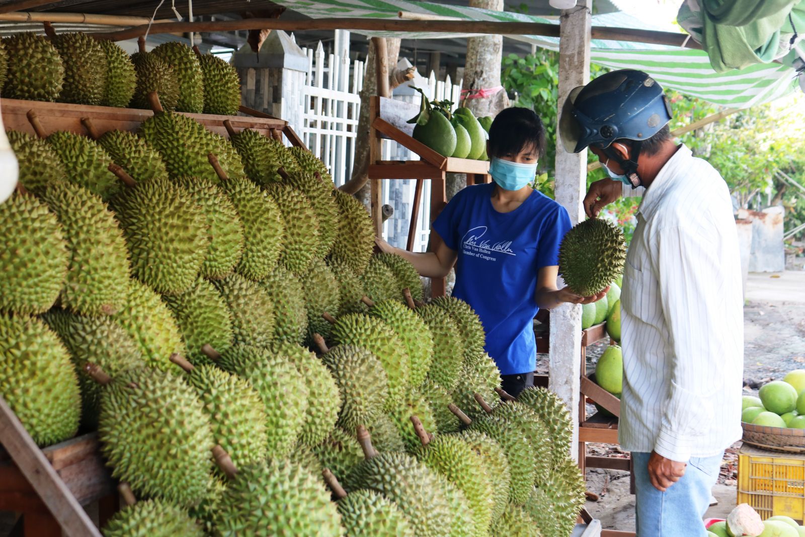 Giá sầu riêng tăng do nhu cầu tiêu thụ tăng - Ảnh 1.