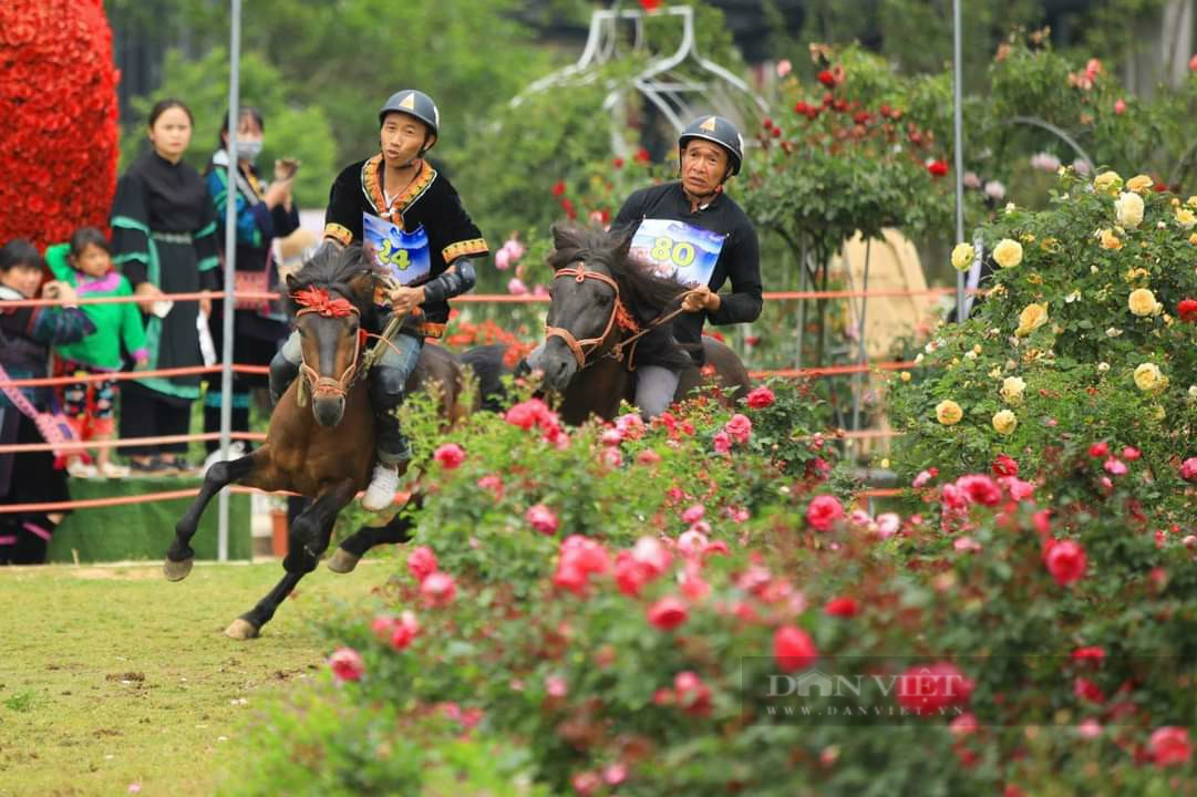 Sôi động cuộc đua “Vó ngựa trên mây” tại Sa Pa - Ảnh 7.