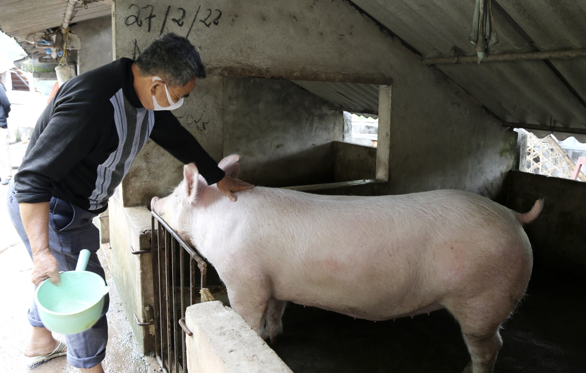 Tạo sinh kế và năng lượng sạch từ Dự án hỗ trợ chăn nuôi lợn sinh sản an toàn sinh học - Ảnh 3.