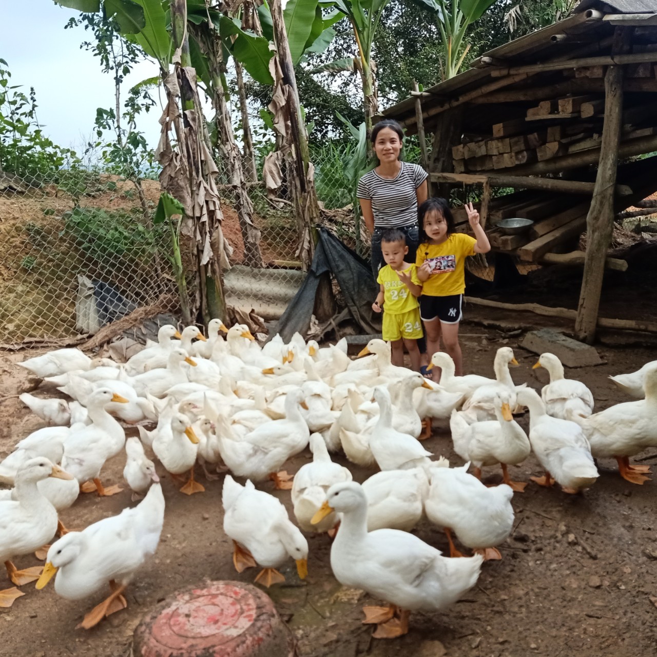 Mavin và World Vision Việt Nam tài trợ 12.000 vịt giống cho người nghèo dân tộc thiểu số tại Thanh Hóa - Ảnh 4.