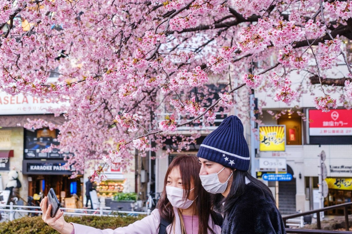 Hình ảnh hoa anh đào nở rộ ở Tokyo - Ảnh 3.