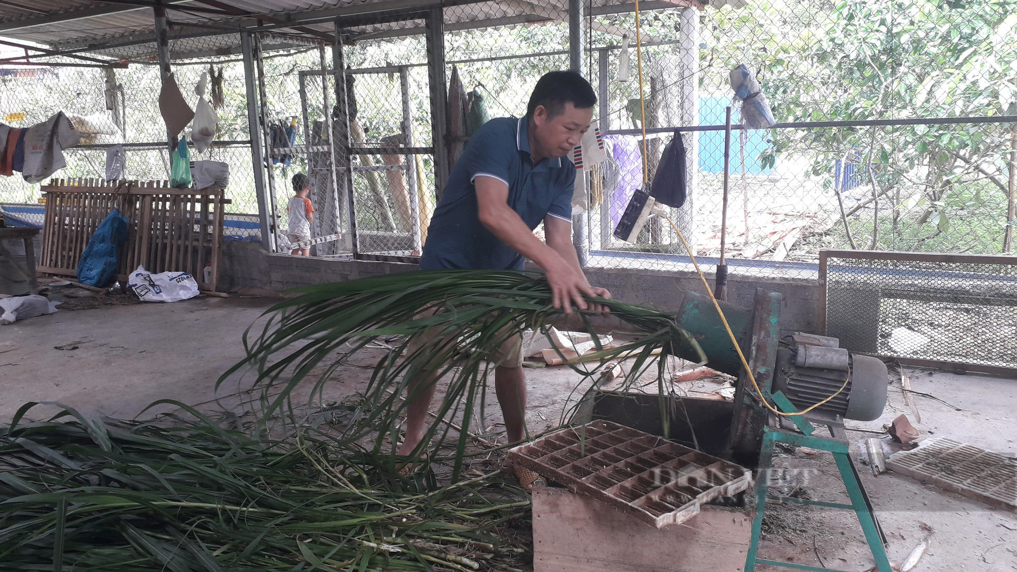 Thái Nguyên: Tiên phong nuôi dê sinh sản, Chủ tịch Hội nông dân xã thành công bất ngờ - Ảnh 3.