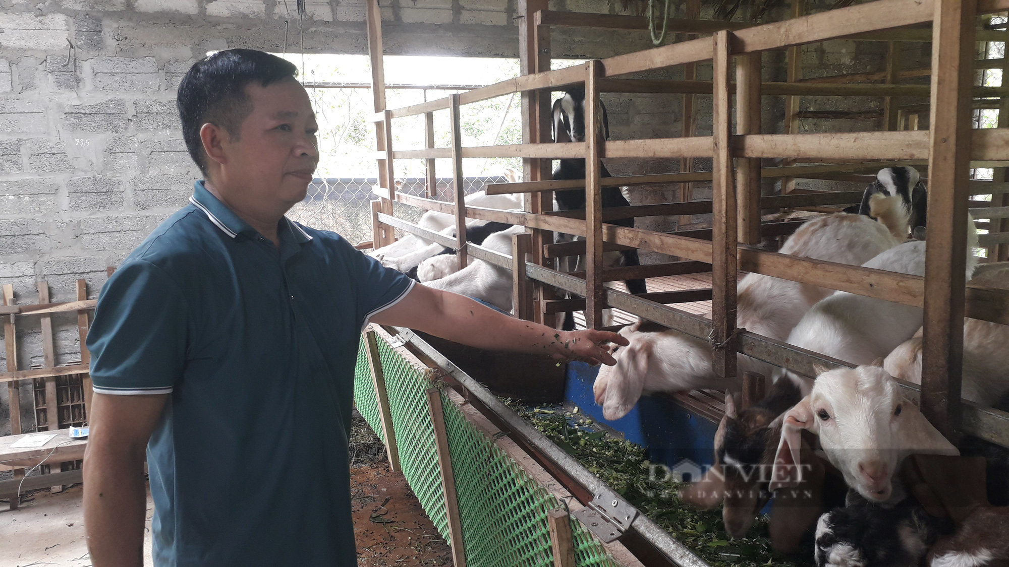 Thái Nguyên: Tiên phong nuôi dê sinh sản, Chủ tịch Hội nông dân xã thành công bất ngờ - Ảnh 1.