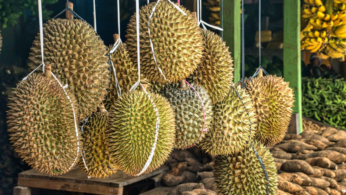 Đề xuất họp chung Thái Lan, Trung Quốc, Lào và Việt Nam nhằm tăng xuất nhập khẩu trái cây - Ảnh 1.