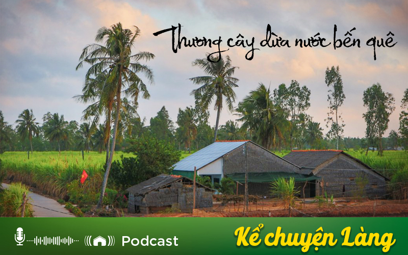 Kể chuyện Podcast: Thương cây dừa nước bến quê - Ảnh 1.