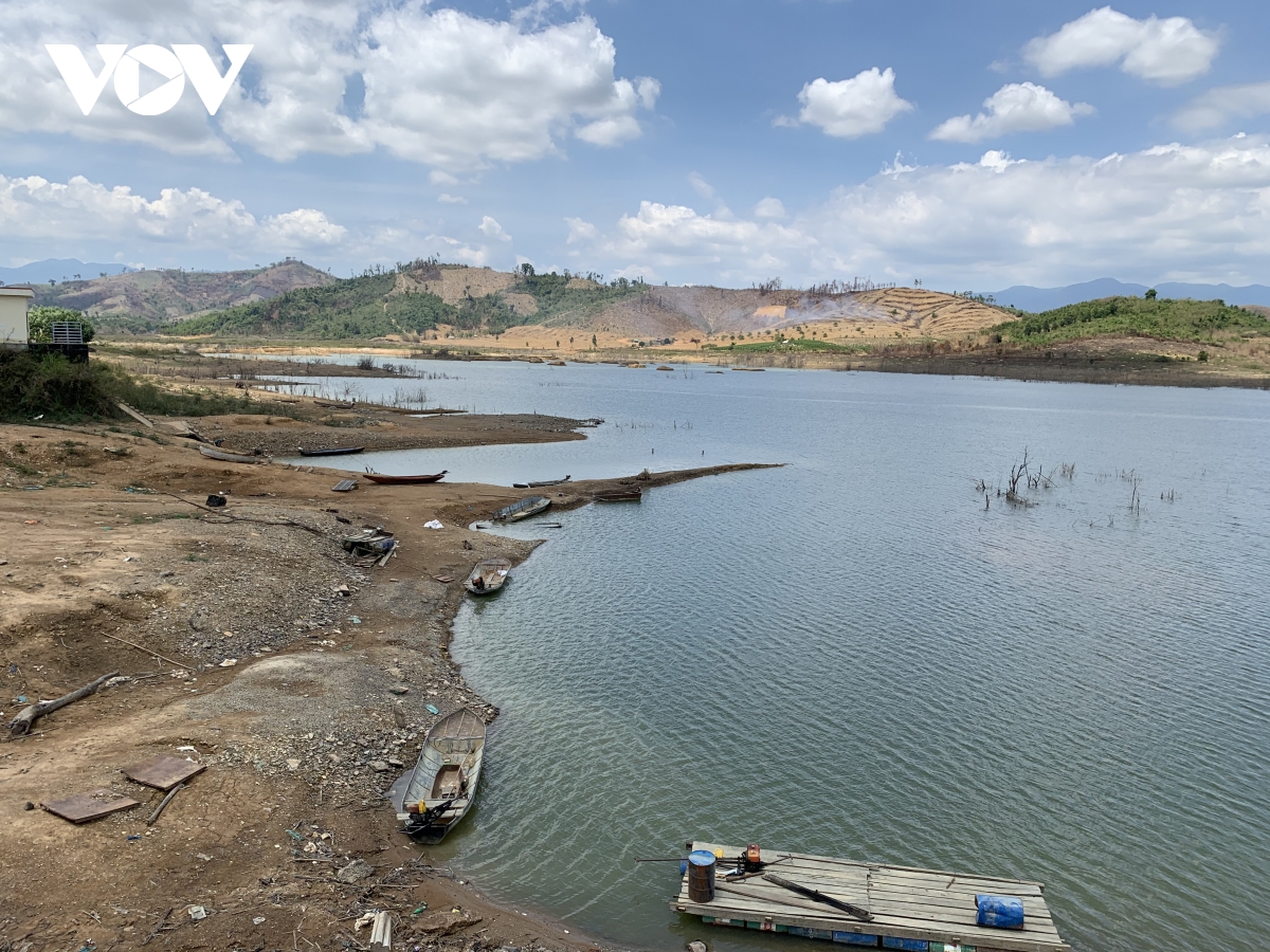 Sốt đất làm tăng nạn phá rừng Tây Nguyên - Ảnh 1.