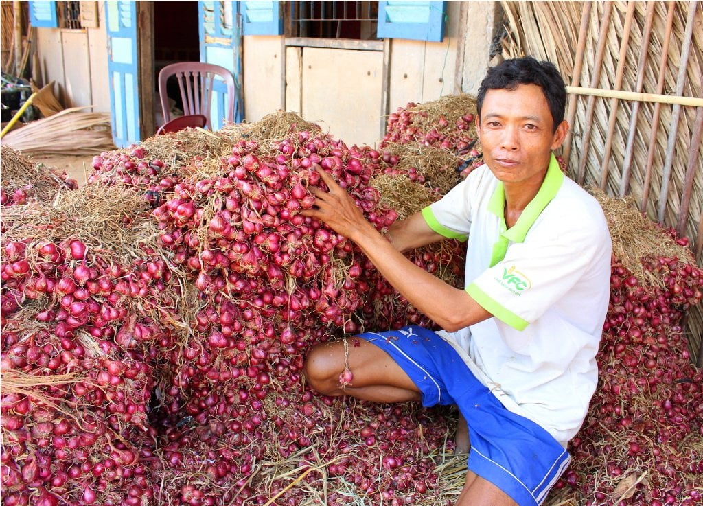 Việt Nam bán nhiều nhất một thứ củ cay xè, thơm nồng cho thị trường Đài Loan, 3 tháng thu 10 triệu USD - Ảnh 1.