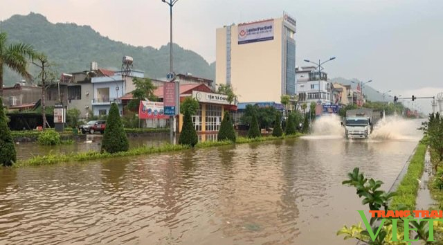 Mưa lớn gây ngập úng, đổ cây tại Lai Châu - Ảnh 5.