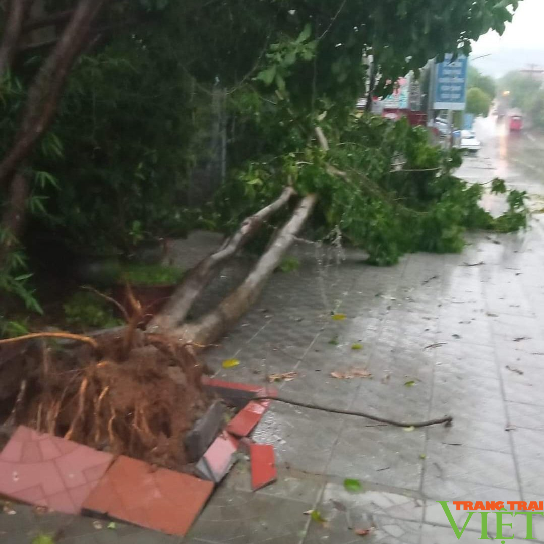 Mưa lớn gây ngập úng, đổ cây tại Lai Châu - Ảnh 8.