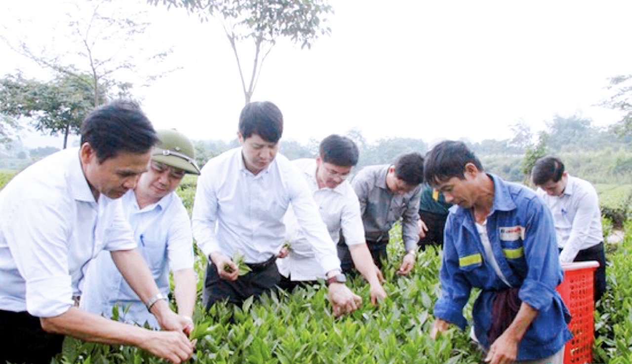 Hành trình về đích nông thôn mới của Hương Sơn giúp số hộ nghèo giảm gần 30% - Ảnh 1.