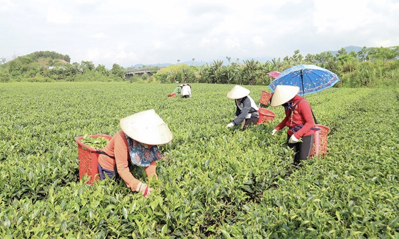 Hành trình về đích nông thôn mới của Hương Sơn giúp số hộ nghèo giảm gần 30% - Ảnh 3.