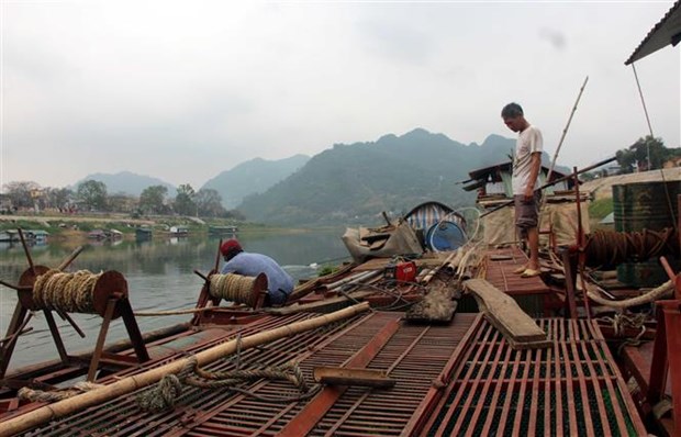 Tuyên Quang: Xuống sông Lô đóng lồng nuôi toàn cá đắt tiền, có cả loài cá tiến vua, thương lái tranh nhau mua - Ảnh 4.