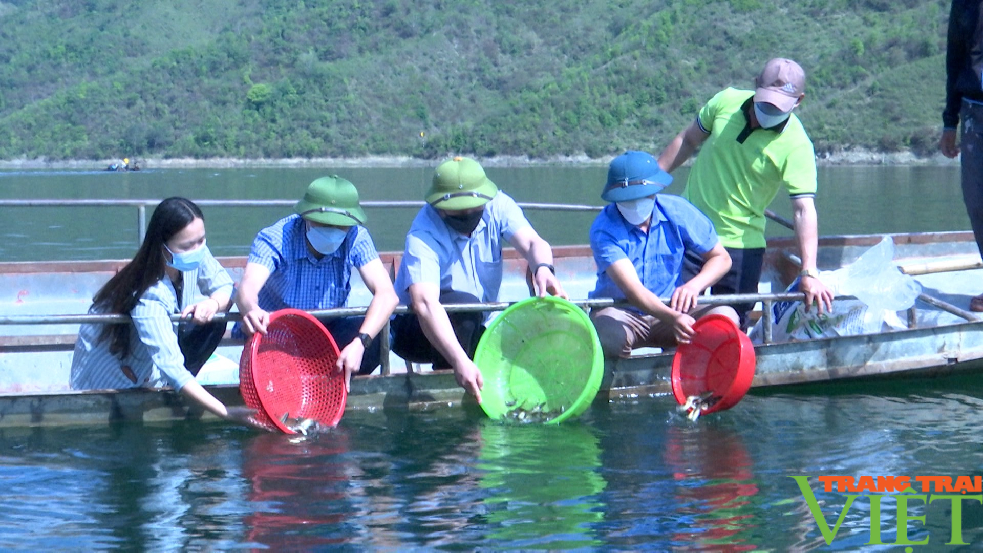 Thuận Châu: Bổ sung, tái tạo nguồn lợi thủy sản trên lòng hồ thủy điện Sơn La - Ảnh 1.