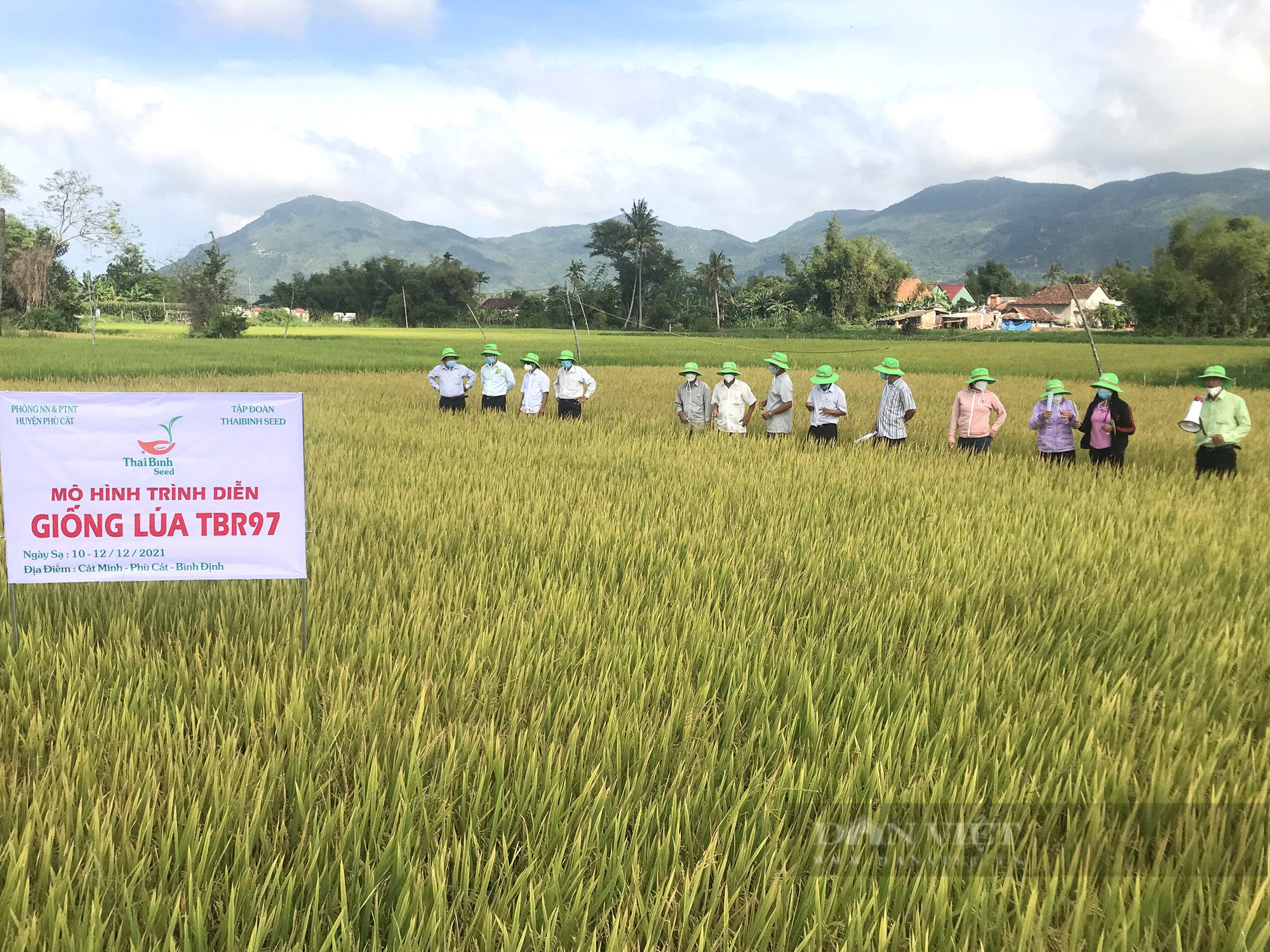 ThaiBinh Seed nấu cơm TBR97 mời bà con nông dân dùng thử và cái kết “nức lòng”  - Ảnh 2.