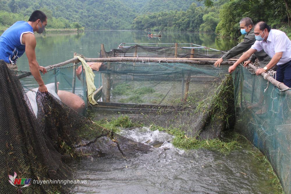 Vùng nước sông Găng ở Nghệ An, nông dân nuôi thứ vịt gì, quây lưới nuôi cá gì mà bán là ra tiền? - Ảnh 5.
