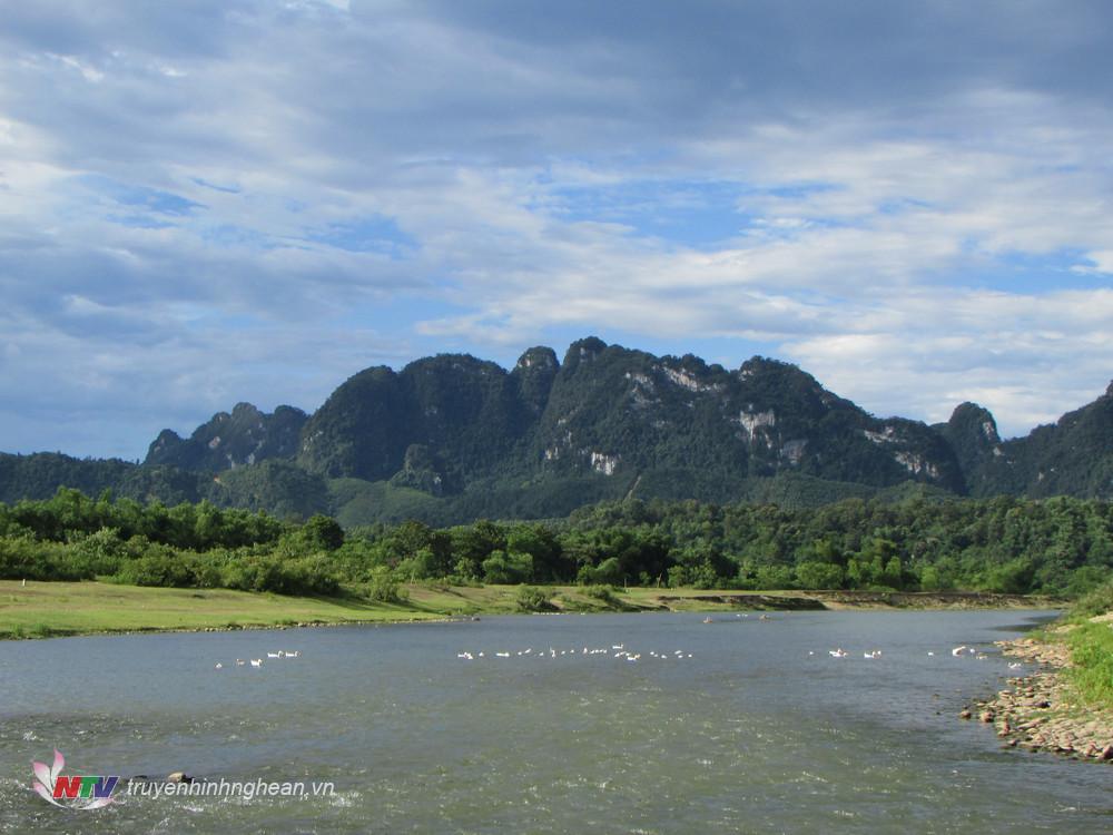 Vùng nước sông Găng ở Nghệ An, nông dân nuôi thứ vịt gì, quây lưới nuôi cá gì mà bán là ra tiền? - Ảnh 3.