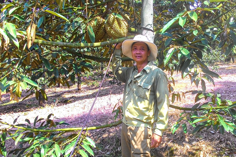 Lâm Đồng: 100% hộ nông dân xã kinh tế mới đều vào “sân chơi tỷ phú” nhờ trồng sầu riêng theo cách này - Ảnh 1.