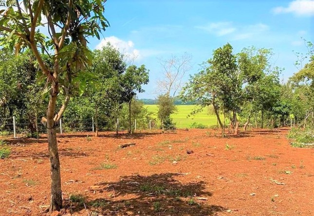 Dựng chòi trên đất ‘view’ ruộng, sông, suối: Tự nhận ‘cháu của cây tùng, cây bách’ - Ảnh 2.