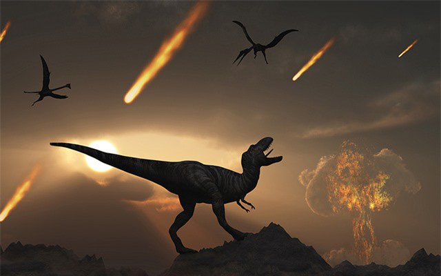 Why can cockroaches survive when meteorites wipe out dinosaurs?