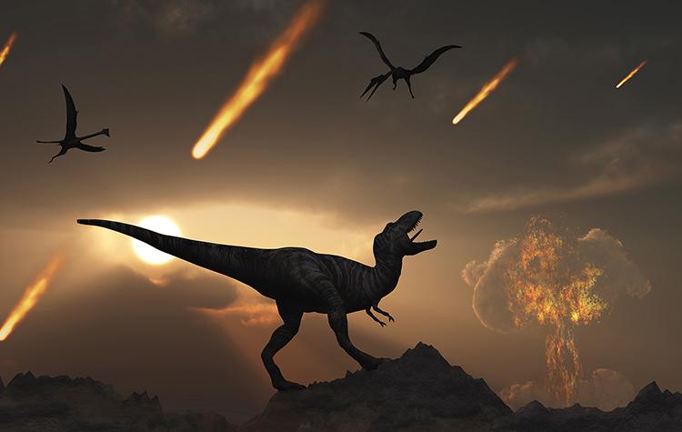 Why can cockroaches survive when meteorites wipe out dinosaurs?  - Photo 1.