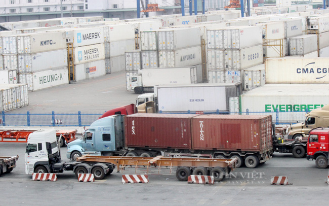 Kiên trì kiến nghị miễn giảm thu phí cảng biển tại TP.HCM - Ảnh 3.