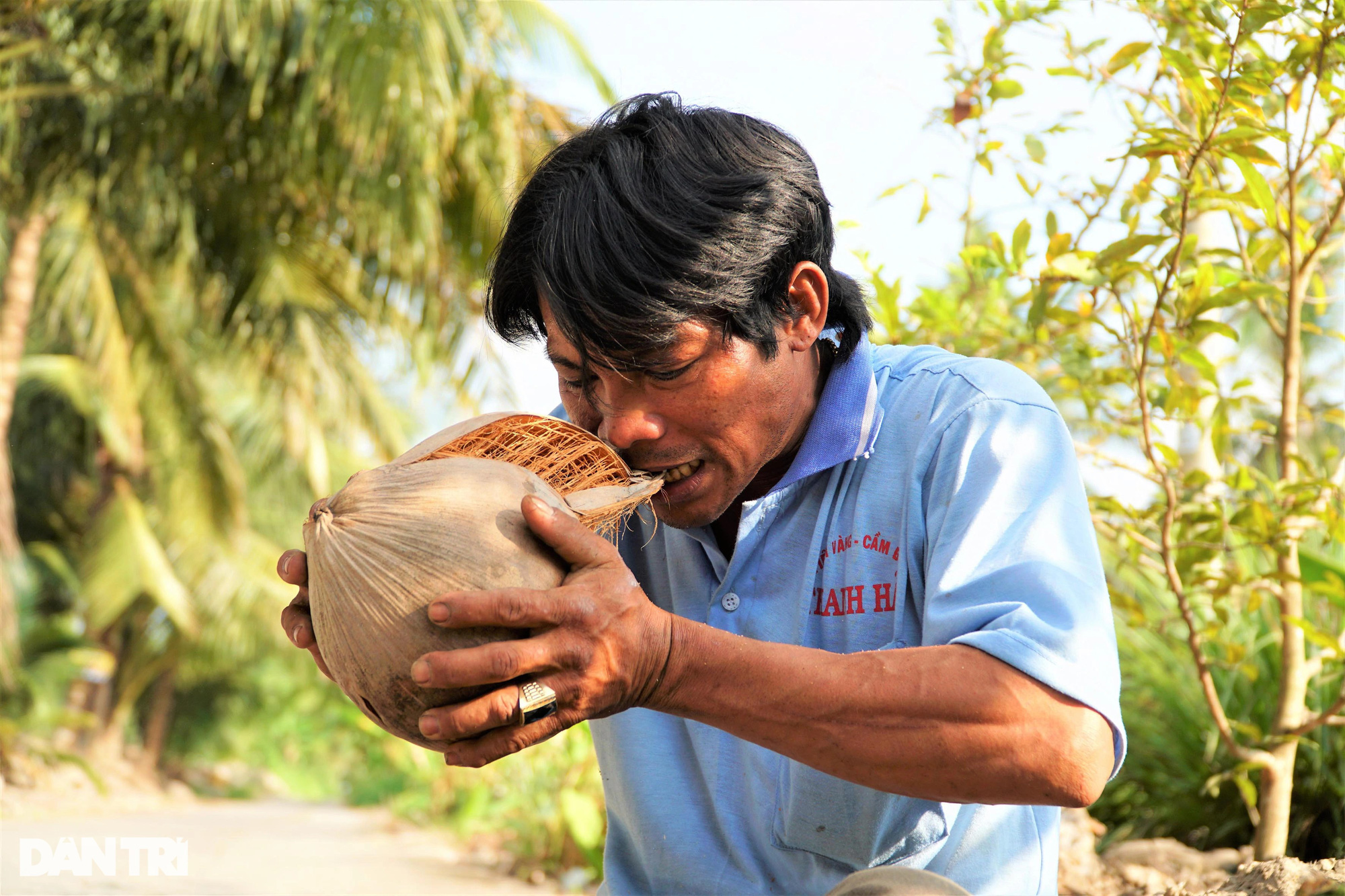 Độc nhất vô nhị Kiên Giang: &quot;Thánh&quot; leo dừa nhanh như chớp, lột vỏ bằng răng - Ảnh 6.