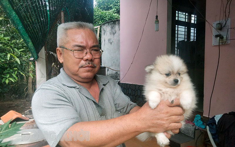 Đây là làng nuôi chó kiểng mới lạ, có một mà chưa có hai ở tỉnh Bến Tre, bán chó giống khắp miền Tây