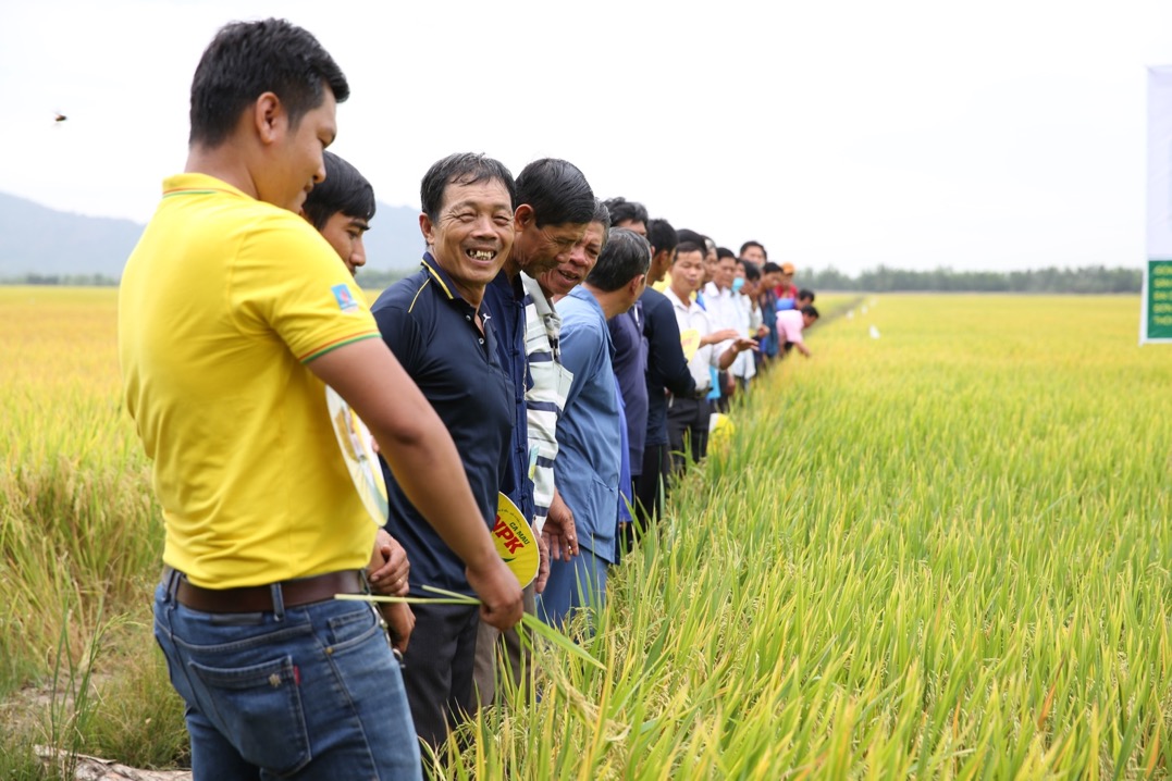 Chọn phân bón nào để góp phần phát triển nông nghiệp bền vững? - Ảnh 1.