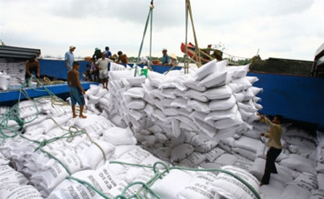 Nhu cầu tích cực từ thị trường sẽ làm cho giá lúa gạo sớm tốt lên - Ảnh 2.