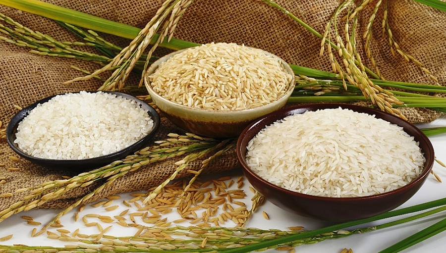 Thị trường giao dịch gạo tiếp tục trầm lắng đến bao giờ? - Ảnh 2.