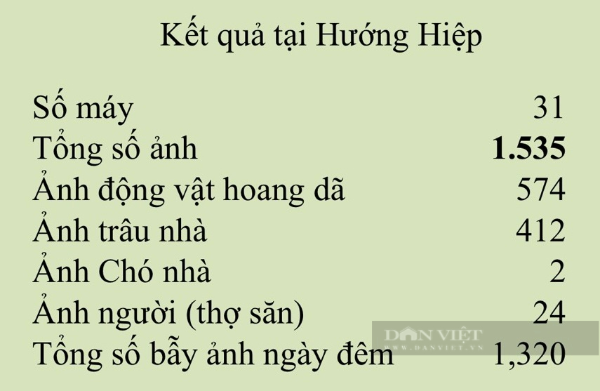 Vụ trâu nhà dính bẫy thú chết trong rừng bảo tồn: Nhiều trâu nhà vẫn đang mất tích, bẫy ảnh chụp được thợ săn - Ảnh 5.