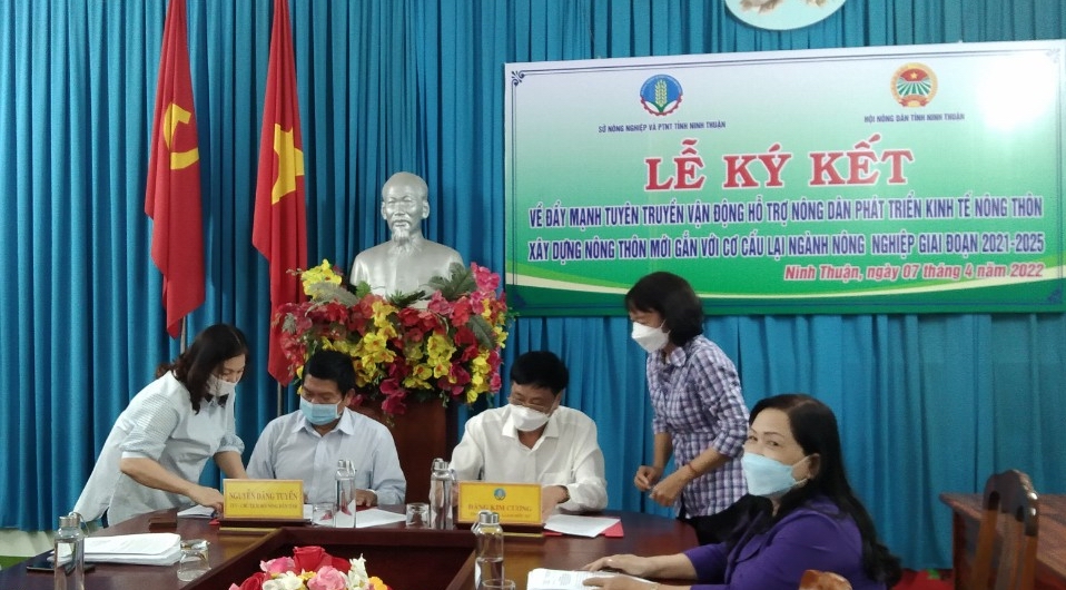 Hội Nông dân và Sở Nông nghiệp Phát triển nông thôn tỉnh Ninh Thuận cùng hỗ trợ nông dân phát triển kinh tế - Ảnh 1.
