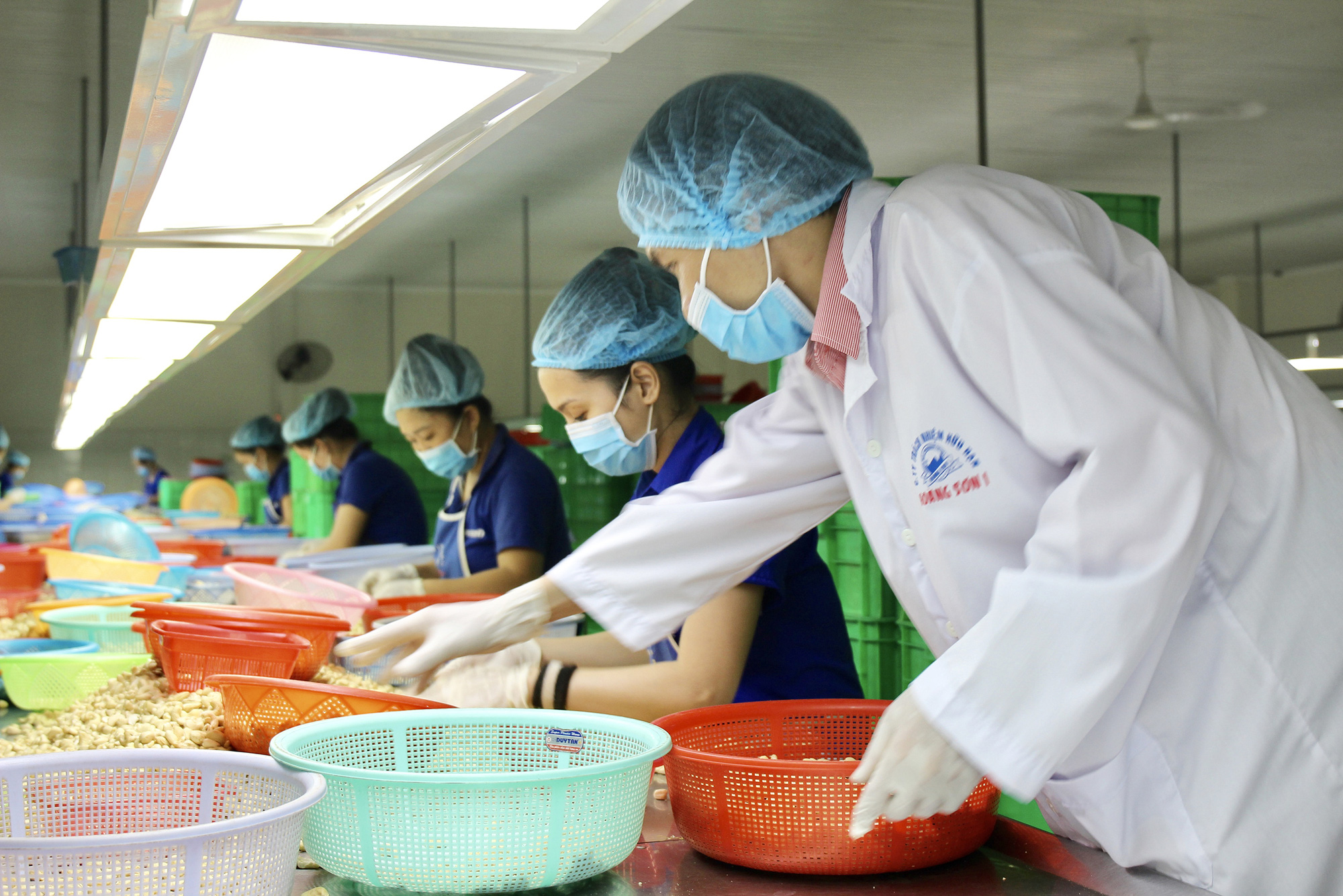 Bất ngờ: Việt Nam là nhà cung cấp số 1 loại hạt béo, bùi này cho Mỹ - Ảnh 1.