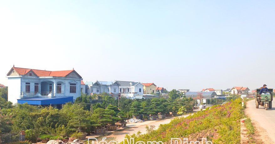 Làng trồng cây cảnh giàu nhất tỉnh Nam Định, ai đến thăm cũng trầm trồ với kiến trúc nhà vườn